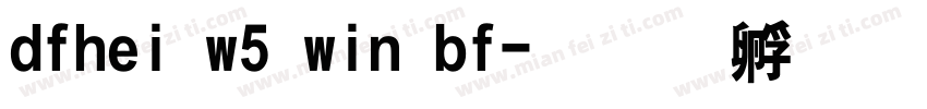 dfhei w5 win bf字体转换